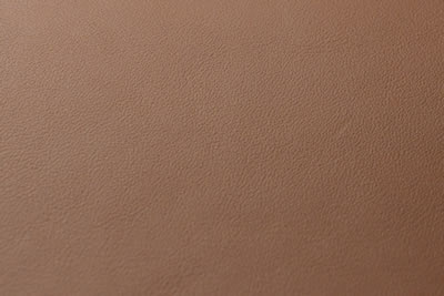 I-Pass Holder (Square, Pre 2012) - Bentley Saddle